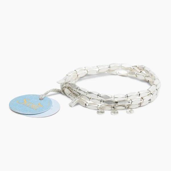 Scout Metal Wrap - Iconic Disc
