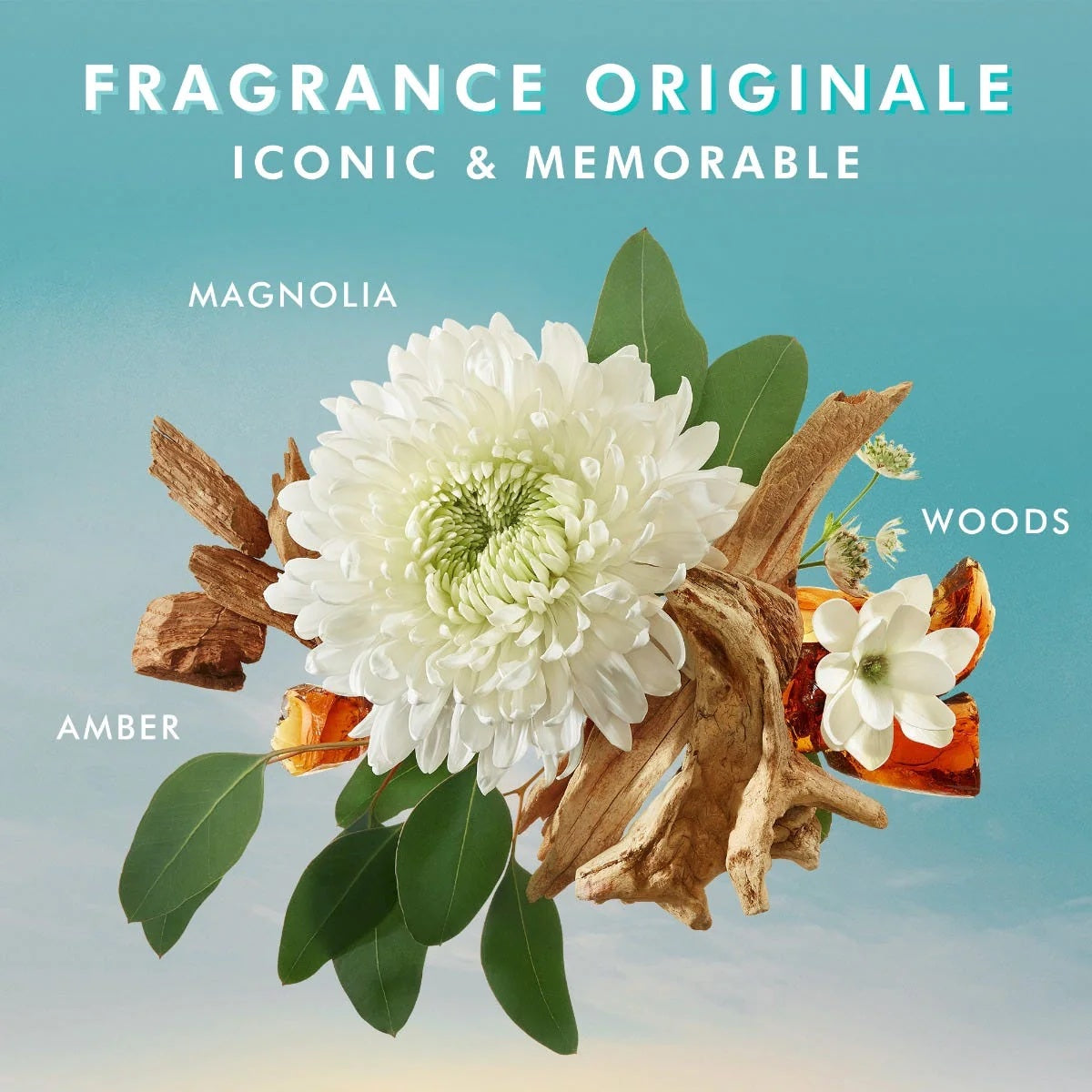 Moroccanoil Body Lotion · Fragrance Originale