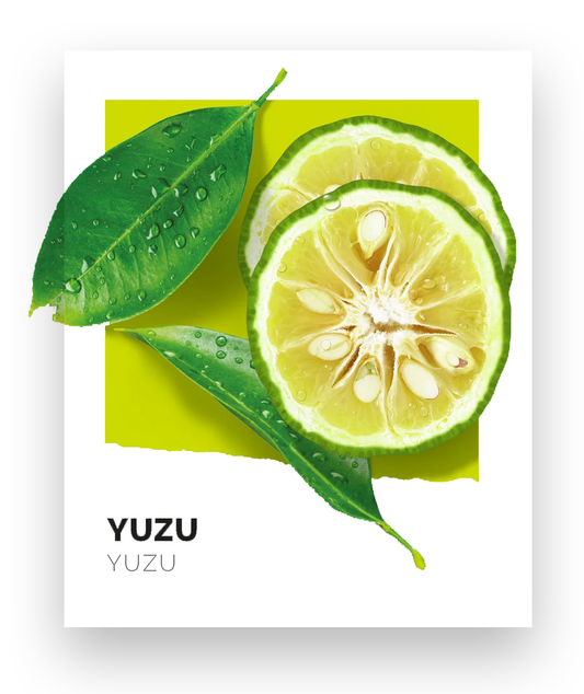 Solinotes Perfume - Yuzu