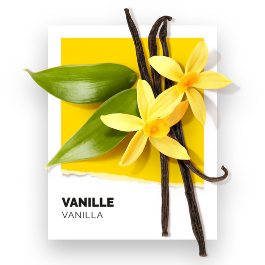 Solinotes Perfume - Vanilla