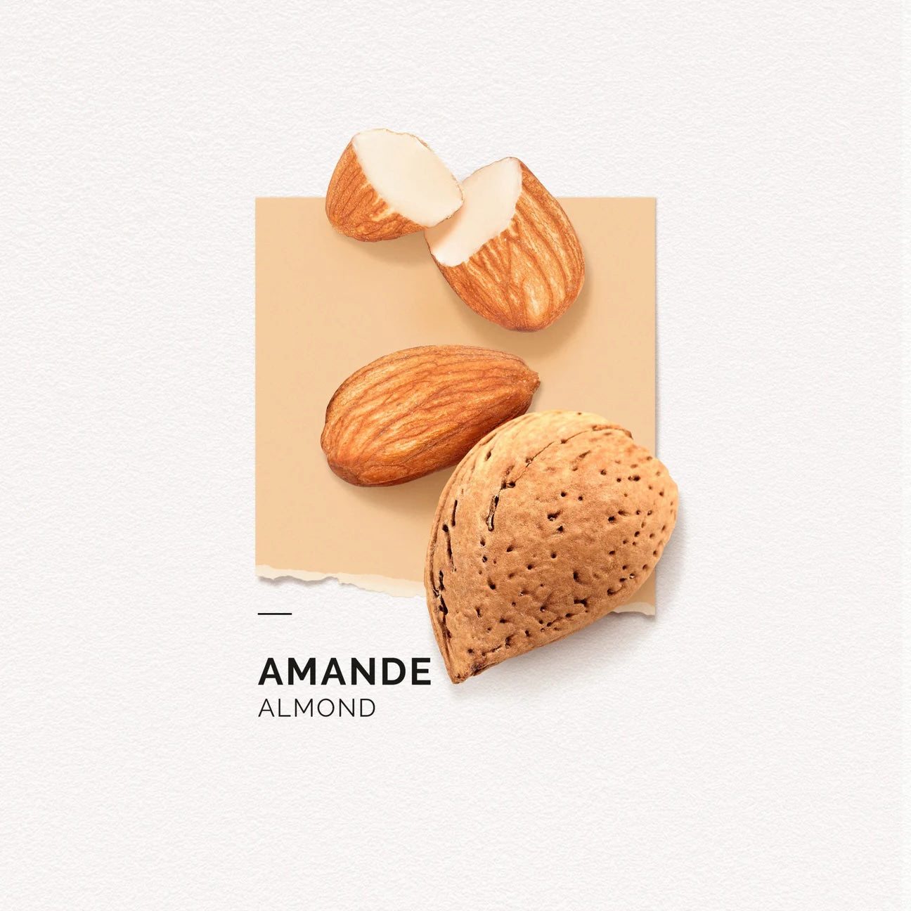 Solinotes Perfume - Almond