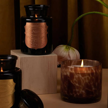 Paddywax Apothecary Noir Candle - Baltic Ember