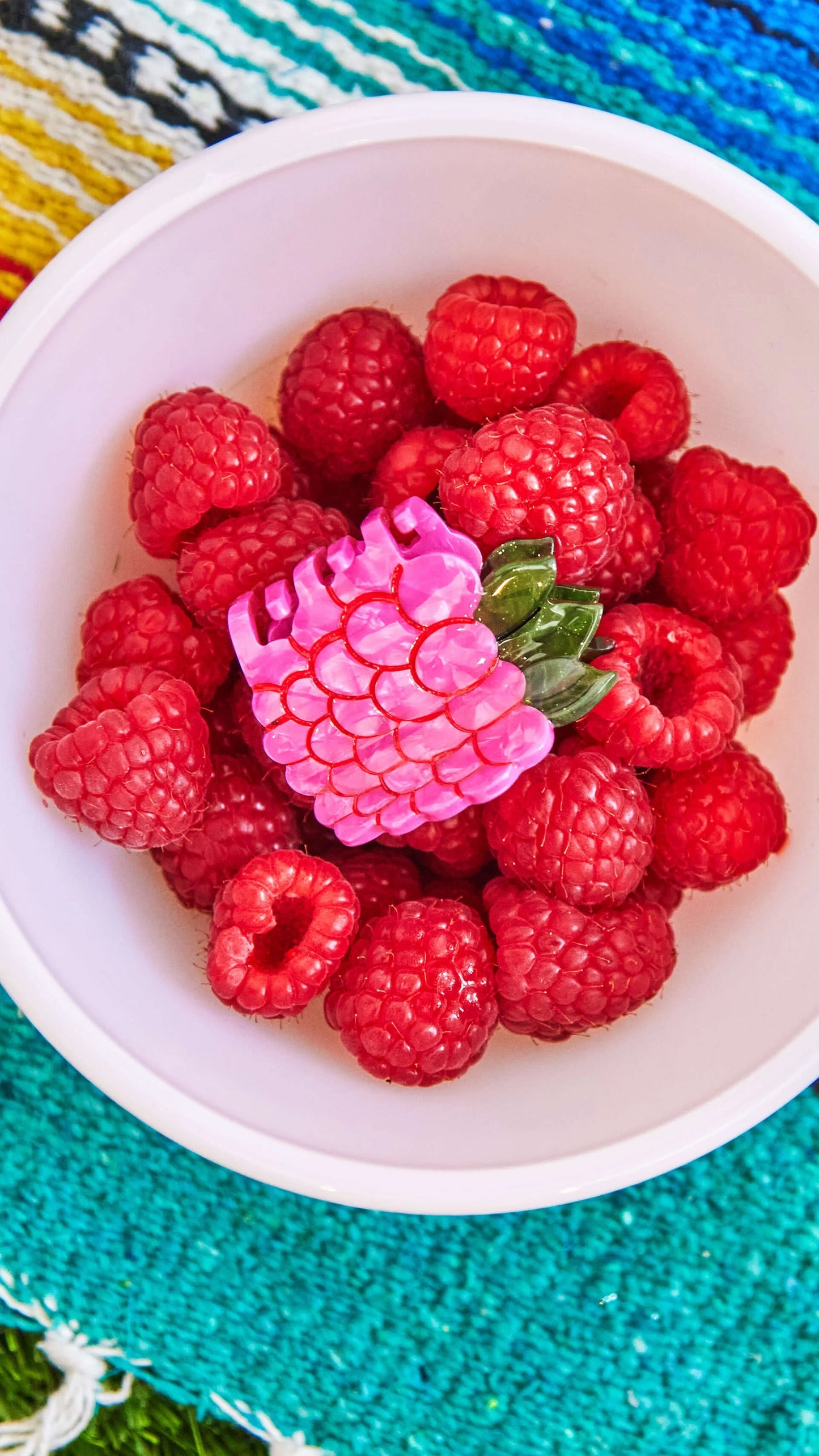 Jenny Lemons Mini Claw Clip - Raspberry