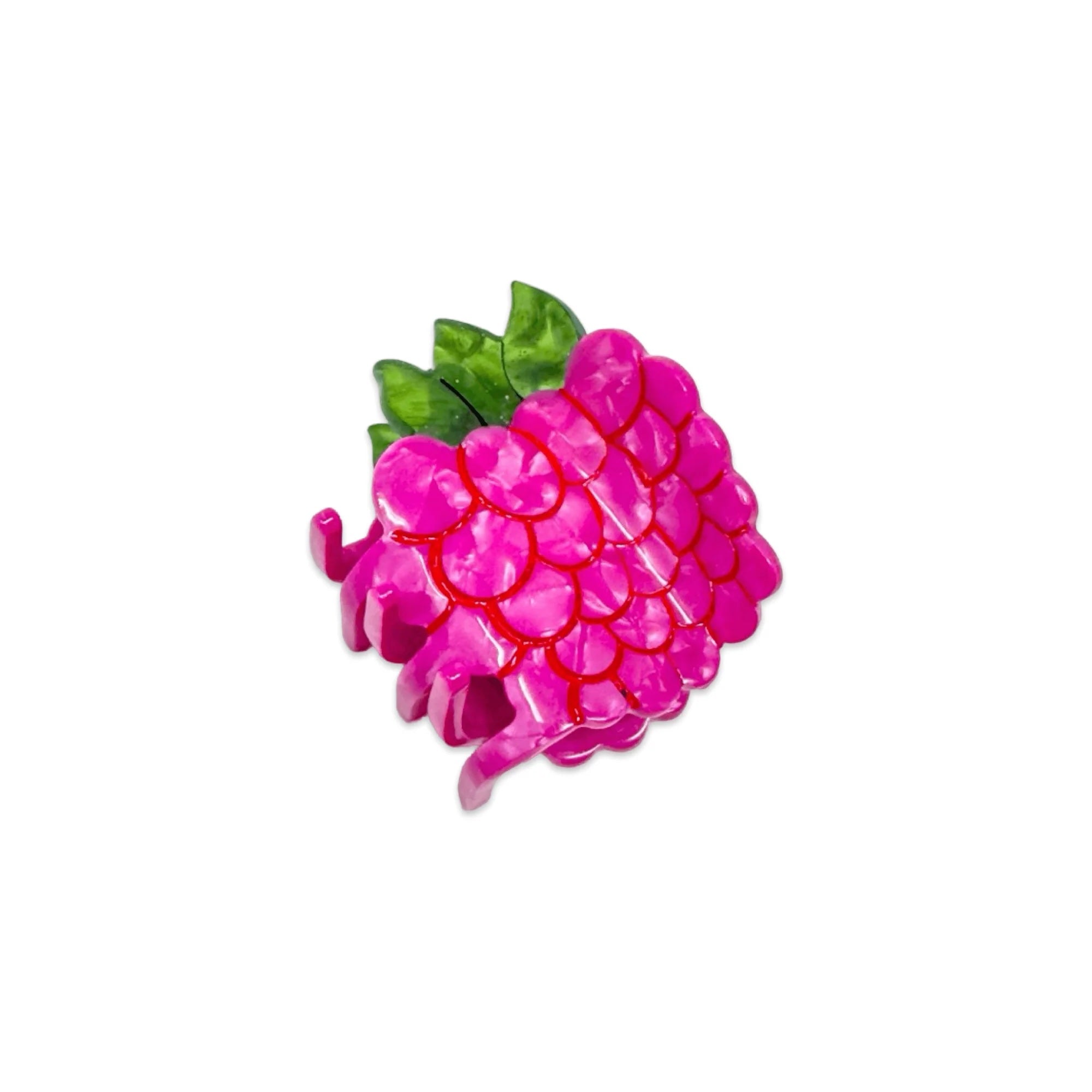 Jenny Lemons Mini Claw Clip - Raspberry – Urban Nirvana
