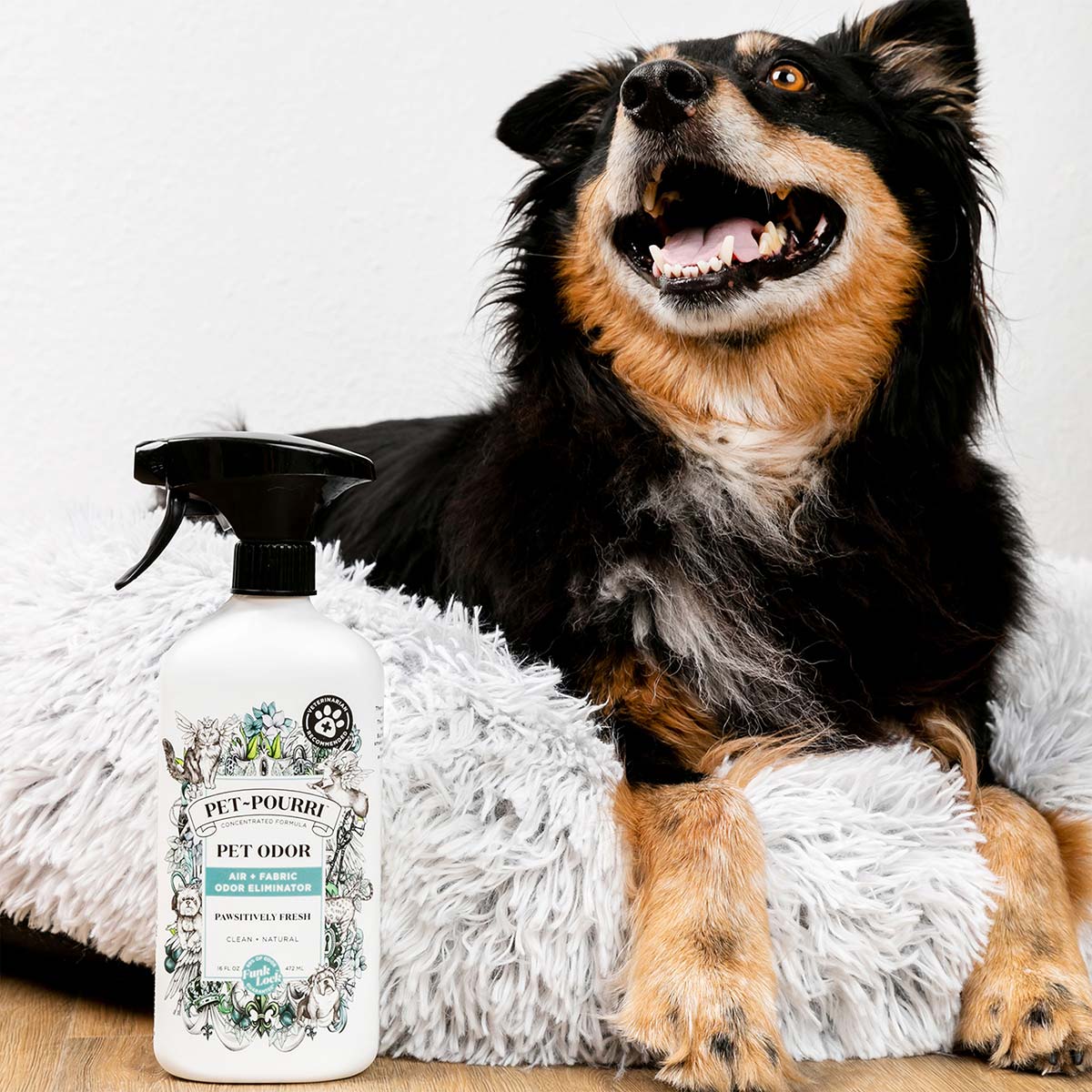 Pet~Pourri Pet Odor Freshener