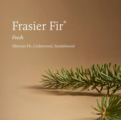 Frasier Fir® Tidings 13 oz Poured Candle