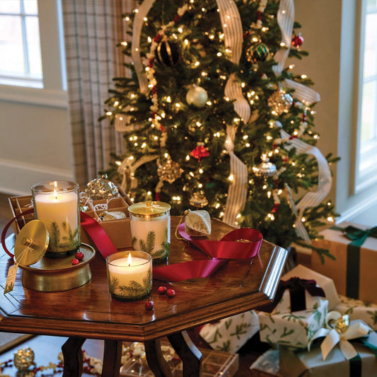 Thymes Frasier Fir Pine Needle Luminary - Medium