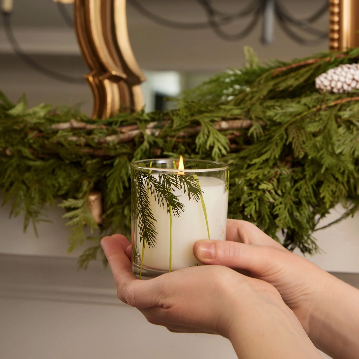 Thymes Frasier Fir Pine Needle Candle