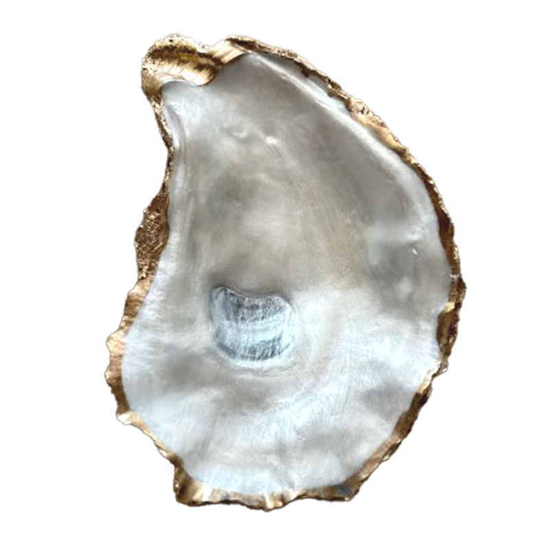 Local Oyster Shell Dish